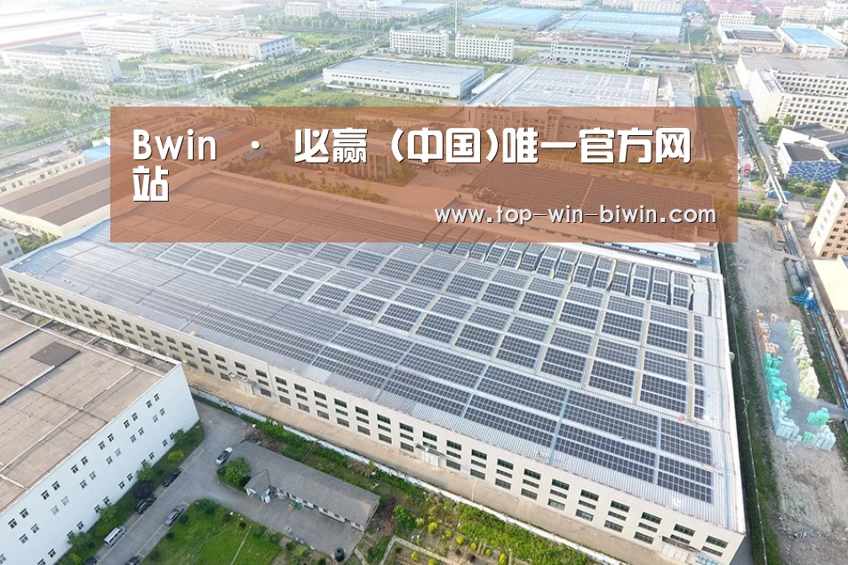 案例展示一