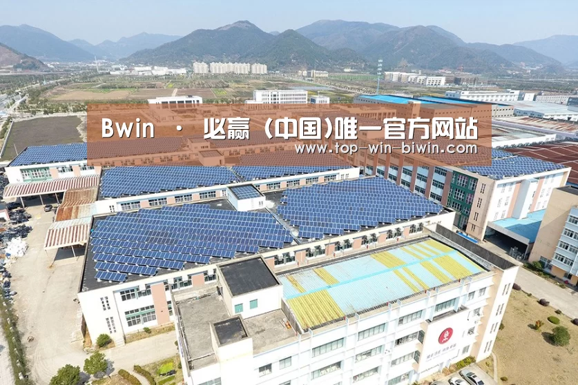 案例展示一