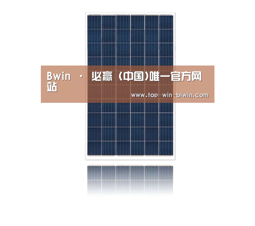产品名称一