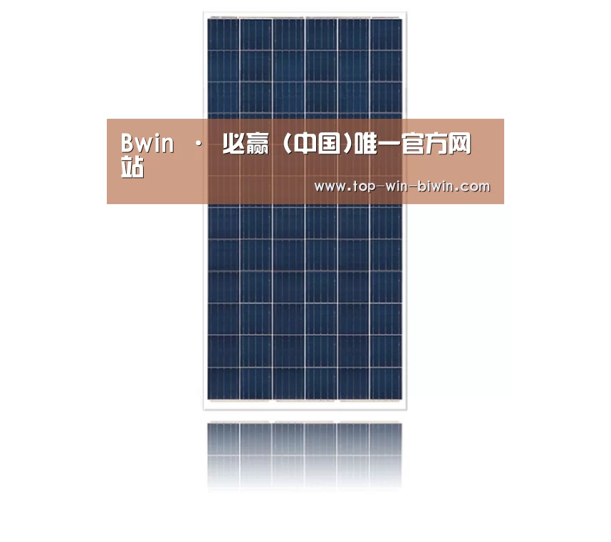 产品名称一