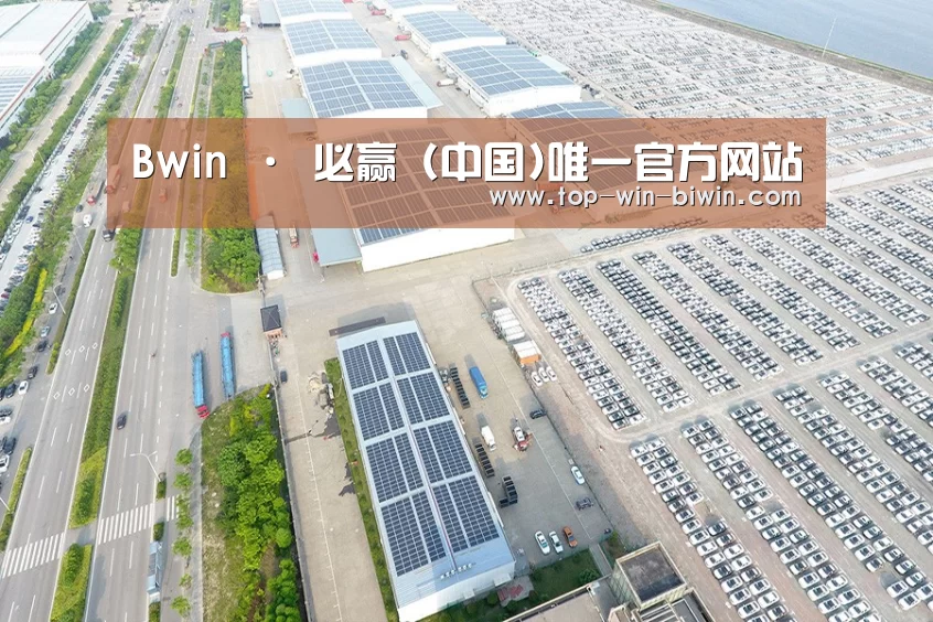案例展示三