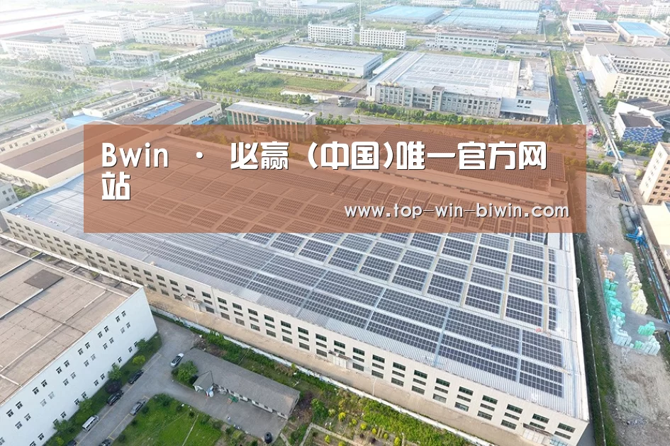 案例展示四